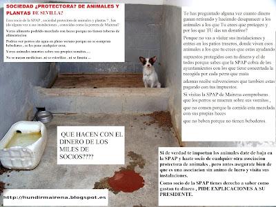 QUEREIS CONOCER EL INFIERNO? MAIRENA, QUE MÁS HACE FALTA?