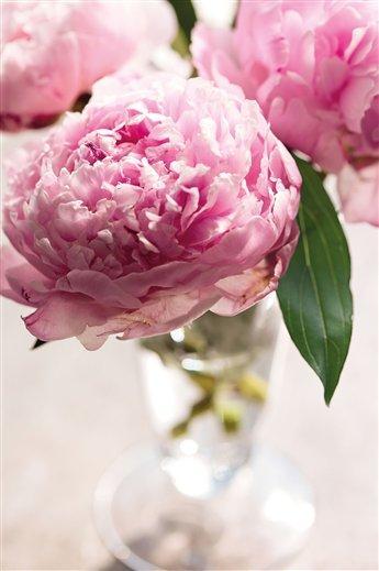 Prepara San Valentín