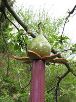 Un tótem para tu jardín - Paperblog