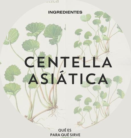 centella asiatica madecassoside que es para que sirve beneficios piel kbeauty cosmética coreana acné piel sensible cicaplast tiger Grass centella asiatica madecassoside que es para que sirve beneficios piel kbeauty cosmética coreana acné piel sensible cicaplast