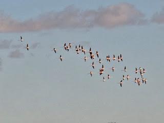 Profesionales del desarrollo local en Galicia evaluarán buenas prácticas de desarrollo local y emprendimiento turístico  en la provincia de  Ciudad Real