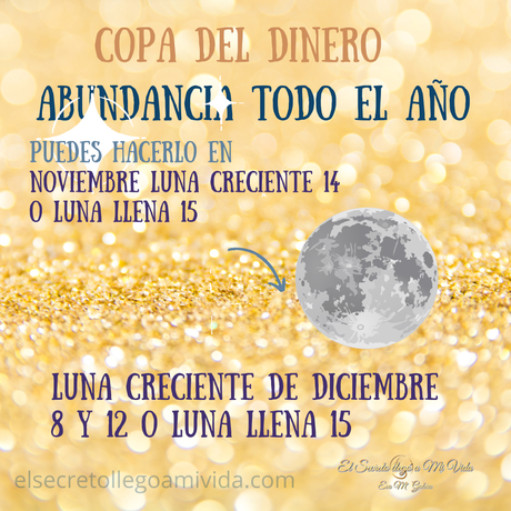 Copa de la Abundancia 2025