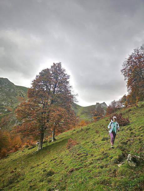 Bosque de Purupintu desde Orle