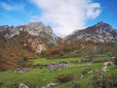 Bosque de Purupintu desde Orle