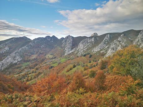 Bosque de Purupintu desde Orle