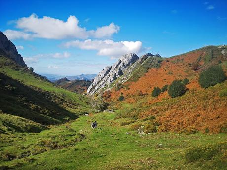 Bosque de Purupintu desde Orle