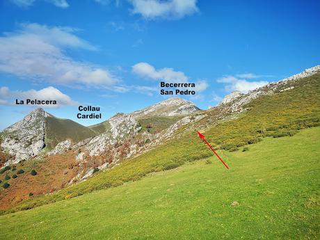 Bosque de Purupintu desde Orle
