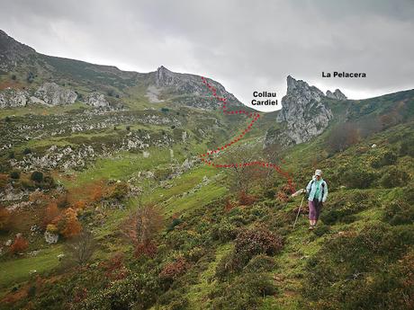 Bosque de Purupintu desde Orle