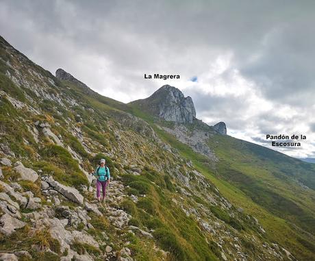 Bosque de Purupintu desde Orle