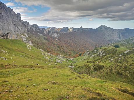Bosque de Purupintu desde Orle