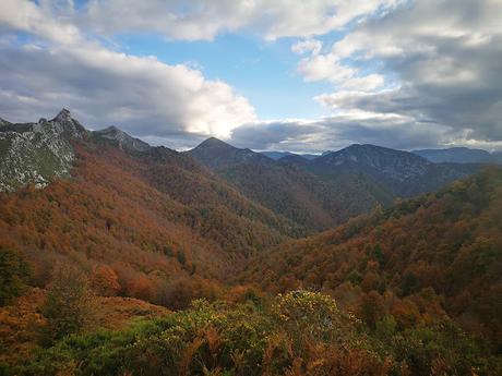 Bosque de Purupintu desde Orle