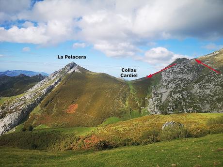 Bosque de Purupintu desde Orle