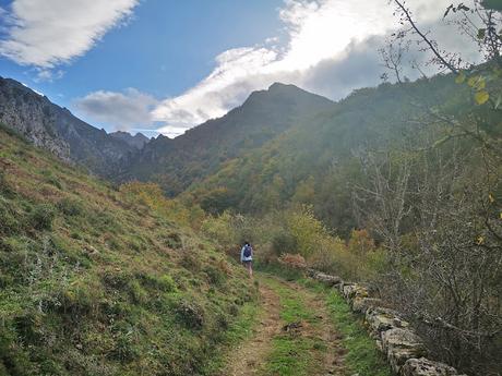 Bosque de Purupintu desde Orle
