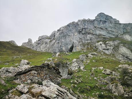 Bosque de Purupintu desde Orle