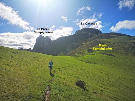 Bosque de Purupintu desde Orle