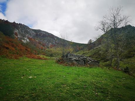 Bosque de Purupintu desde Orle