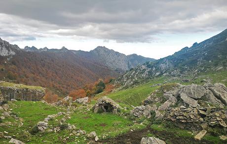 Bosque de Purupintu desde Orle