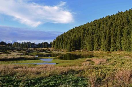 Todo lo que necesitas saber sobre el senderismo en las Azores (consejos y mejores excursiones)