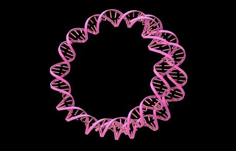 Describen el mecanismo del ADN circular extracromasómico para impulsar el cáncer