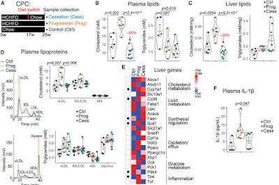 Nuevo objetivo para el tratamiento de la aterosclerosis