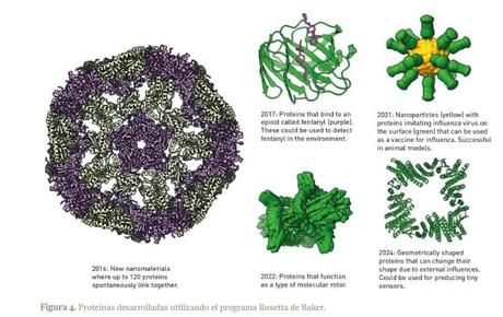 Nobel de Química 2024