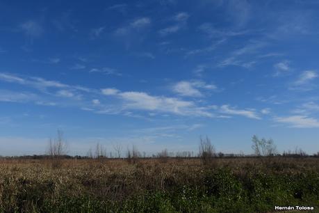 Parque Nacional Ciervo de los Pantanos (septiembre 2024)