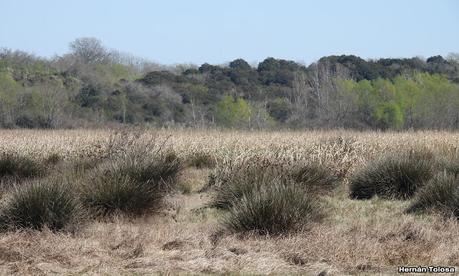 Parque Nacional Ciervo de los Pantanos (septiembre 2024)