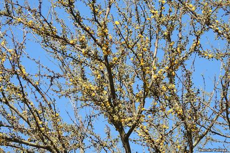 Parque Nacional Ciervo de los Pantanos (septiembre 2024)