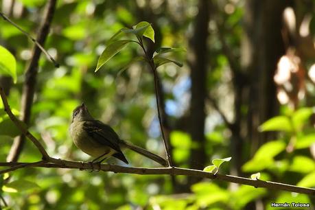 Parque Nacional Ciervo de los Pantanos (septiembre 2024)
