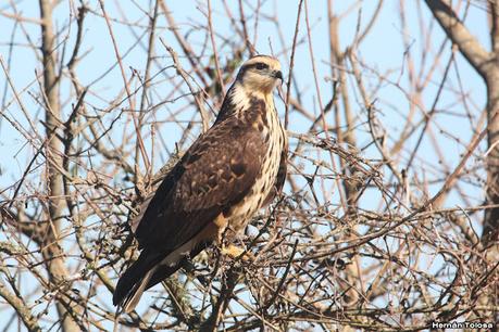 Parque Nacional Ciervo de los Pantanos (septiembre 2024)