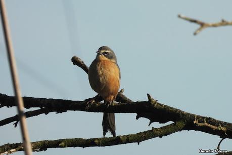 Parque Nacional Ciervo de los Pantanos (septiembre 2024)