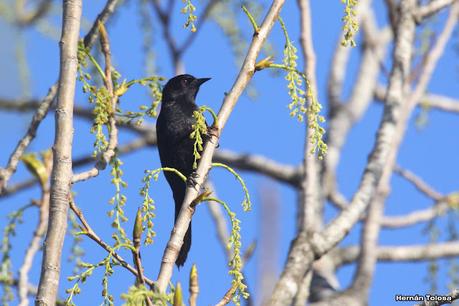 Parque Nacional Ciervo de los Pantanos (septiembre 2024)
