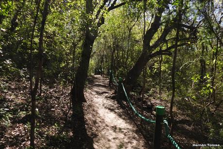 Parque Nacional Ciervo de los Pantanos (septiembre 2024)