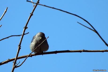 Parque Nacional Ciervo de los Pantanos (septiembre 2024)