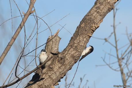 Parque Nacional Ciervo  de los Pantanos (septiembre 2024)