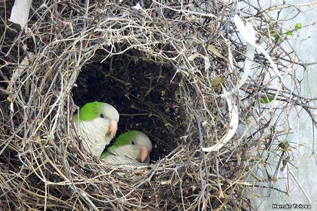 Parque Nacional Ciervo  de los Pantanos (septiembre 2024)