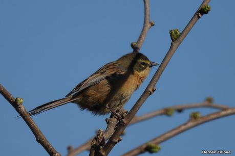 Parque Nacional Ciervo  de los Pantanos (septiembre 2024)