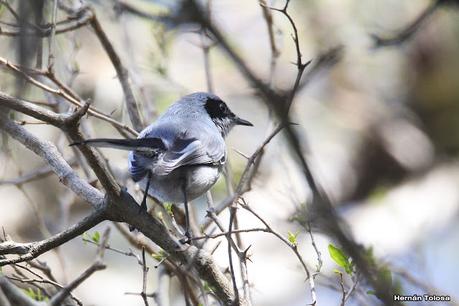 Parque Nacional Ciervo  de los Pantanos (septiembre 2024)