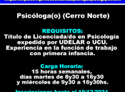 Psicóloga(o)(Cerro Norte)