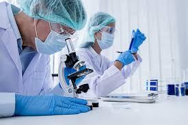 Hallan una hormona que regenera los tejidos y servirá para el tratamiento de lesiones graves Hallan una hormona que regenera los tejidos y servirá para el tratamiento de lesiones graves