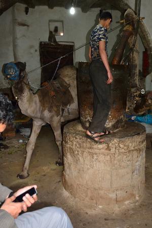 procesamiento de sésamo