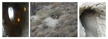Ruta por el Parque histórico del a Batalla del Jarama organizado por Turismo Arganda del Rey.