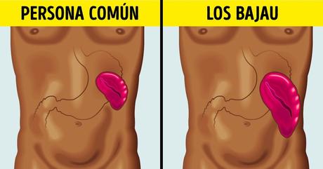 Super poderes geneticos 2 :Como pez en el agua