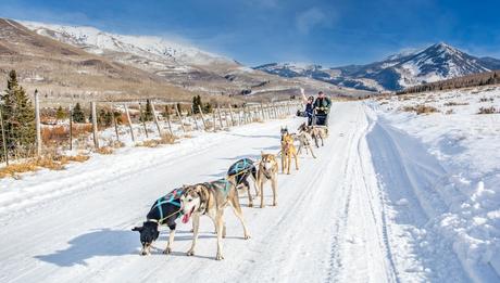 10 maravillas invernales de la vida real en los EE. UU. parque de la ciudad