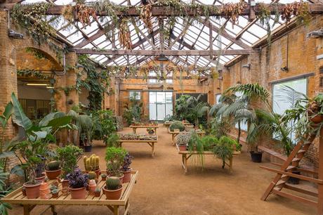 Flowers by Bornay: floristerías 