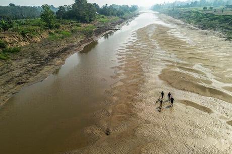 Cómo la actividad humana está alterando los ciclos de lluvias y sequías en la cuenca del río Amazonas