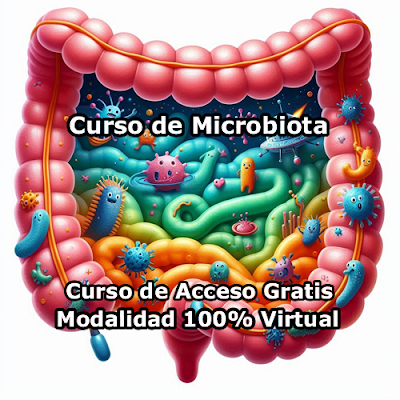 Curso de Microbiota Modalidad 100% Virtual de Acceso Gratis Curso de Microbiota Modalidad 100% Virtual de Acceso Gratis