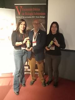 Actividad intensa del GEV (exploración, deporte, investigación, divulgación, competición, formación...) Actividad intensa del GEV (exploración, deporte, investigación, divulgación, competición, formación...)