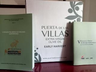 Actividad intensa del GEV (exploración, deporte, investigación, divulgación, competición, formación...) Actividad intensa del GEV (exploración, deporte, investigación, divulgación, competición, formación...)