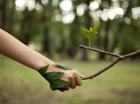 El ‘Ecobranding’ y la importancia de la marca en una organización